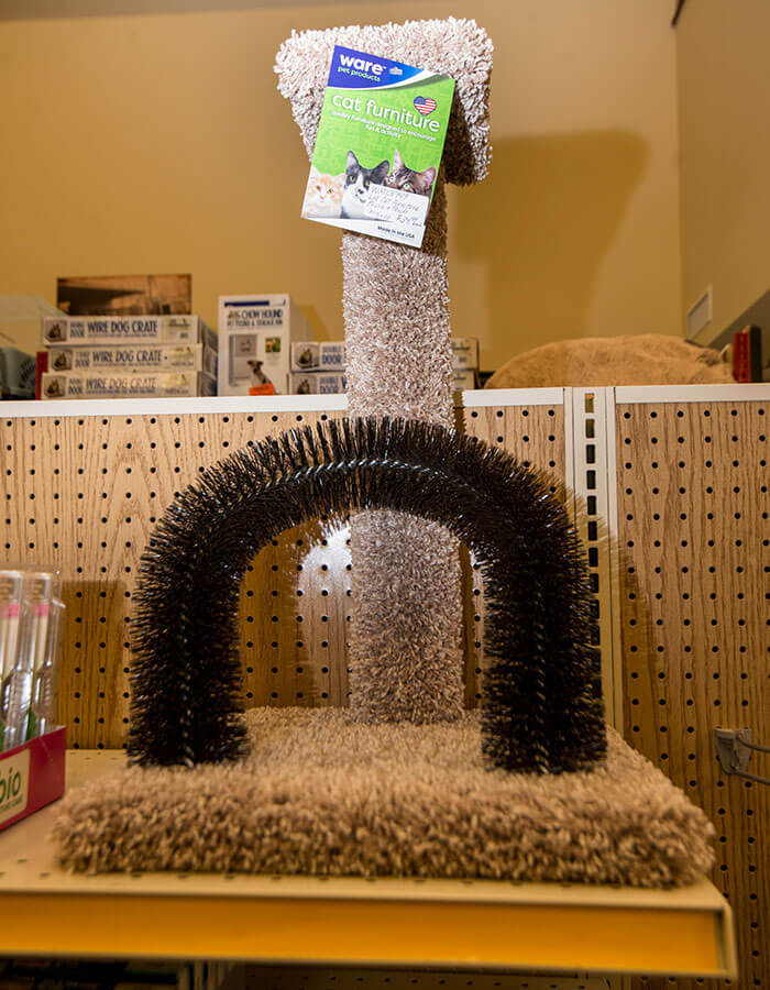 pet