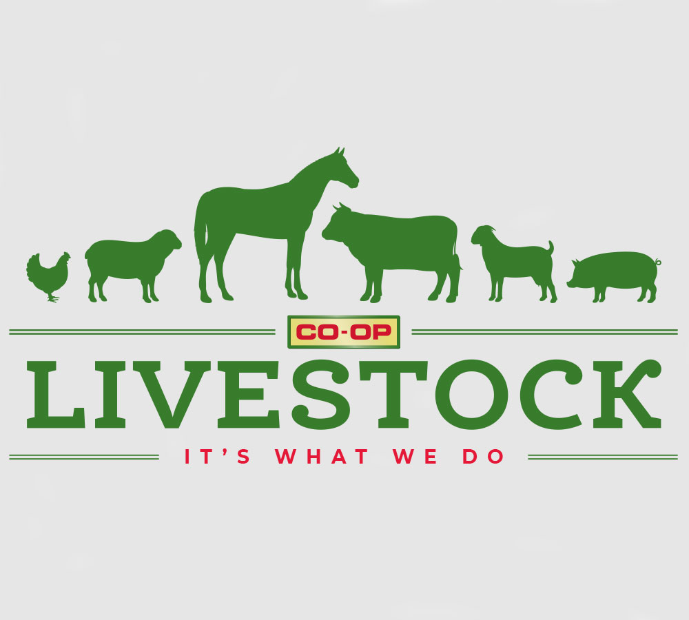 coop-livestock-logo-chosen-concept