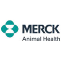 merck