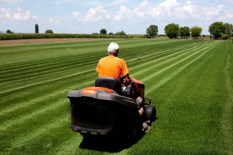 mower-800x533